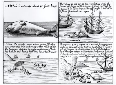 Hvalfangst ved Spitzbergen i 1611 af English School