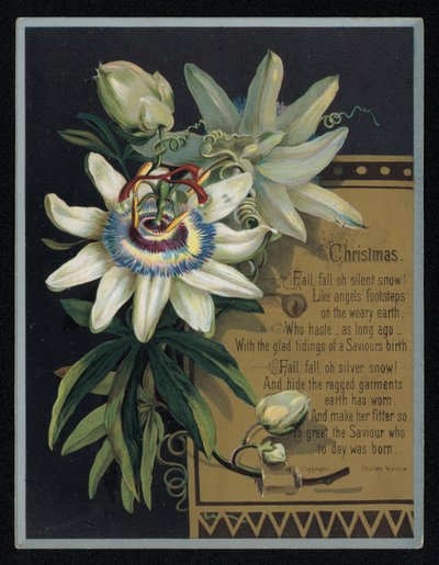 Hvid passionsblomst, julehilsenskort. (chromolitho) af English School