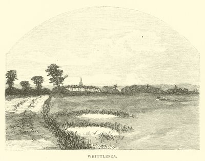 Whittlesea af English School