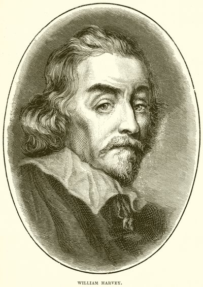 William Harvey af English School