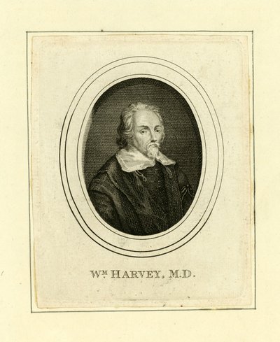 William Harvey af English School