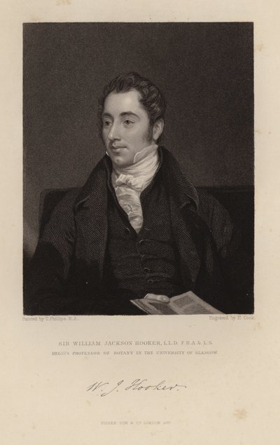 William Jackson Hooker af English School