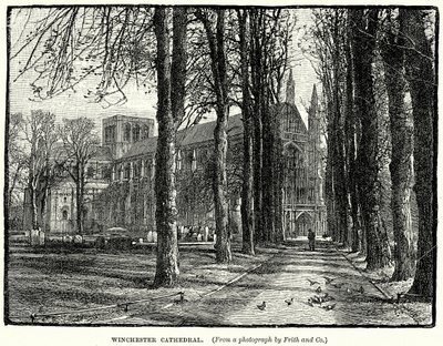 Winchester Cathedral (gravering) af English School