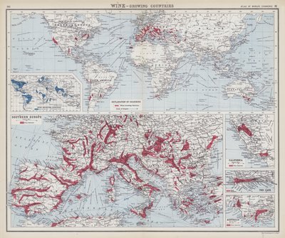 Wein, Anbauländer von English School