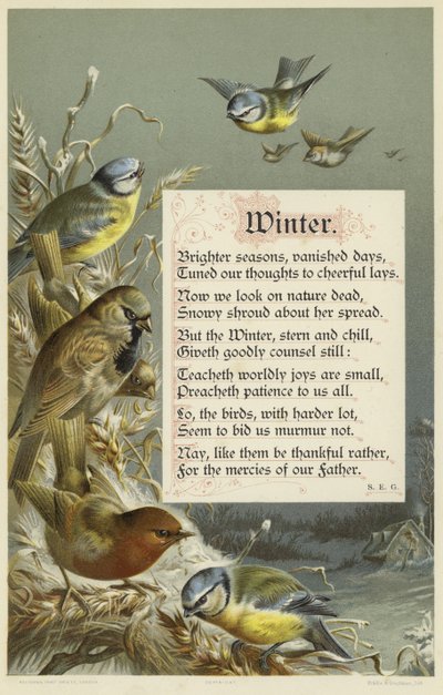 Vinter af English School