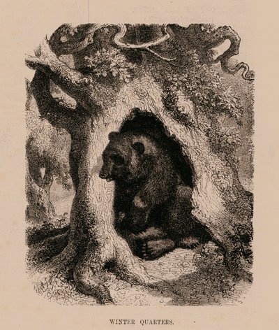 Winters Quarters (gravering) af English School