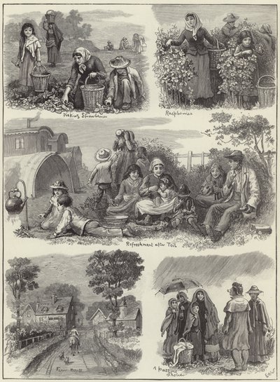 Mit den Obstpflückern von English School