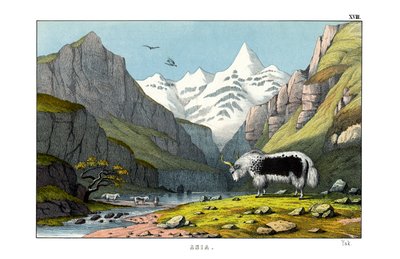 Yak af English School