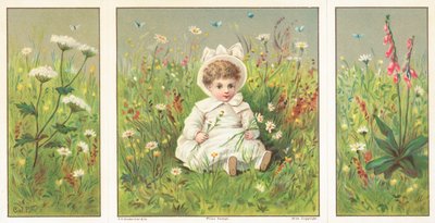Ungt barn sidder i blomstereng, julekort af English School