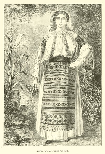 Junge Walachin von English School