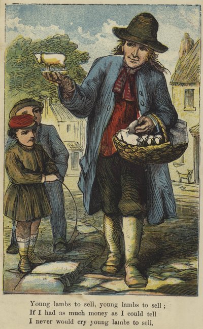 Unge lam til salg af English School