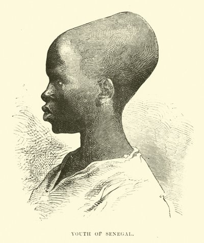 Youth of Senegal  af English School