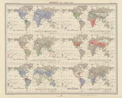 Zoogeografi: Amfibier, Anura, Urodela, Apoda (farvelitografi) af English School