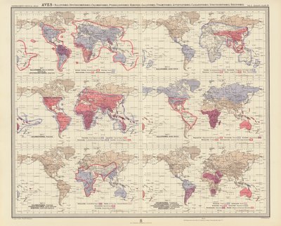 Zoogeografi: Aves, Ralliformes, Opisthocomiformes, Columbiformes, Pteroclidiformes, Hemipodii, Galliformes, Tinamiformes, Apterygiformes, Casuariiformes, Struthioniformes, Rheiformes (farvelitografi) af English School