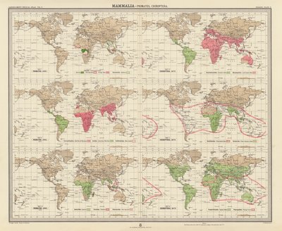 Zoogeografi: Pattedyr, primater, chiroptérer (farvelitografi) af English School