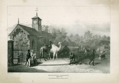 Zoologisk have, Regents Park af English School