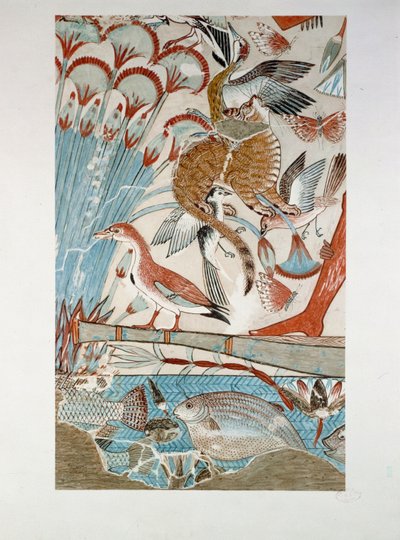 Detalje: Jagt på fugle i sumpene ... af Erich Lessing