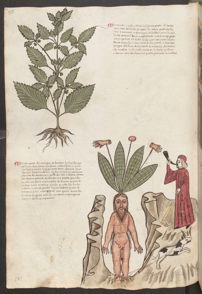 Helside: tekst og miniaturer: "Mercurela" (miniature) af Erich Lessing