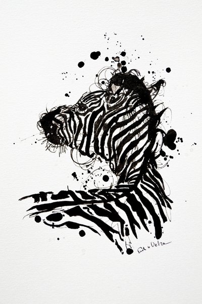 Vild zebra med blækstænk af Erik Van Velzen