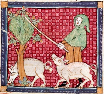 September: grise spiser agern. Miniature taget fra "Breviaire d