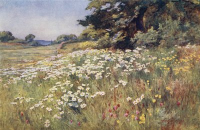 Solskin i Meadowland af Ernest Benger or Berenger