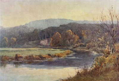 Skoven og Vandvejen af Ernest Benger or Berenger