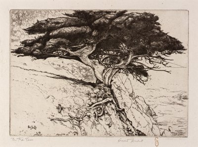 Vifte-træet af Ernest Haskell