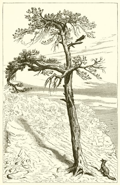 Ræven og besætningen af Ernest Henry Griset