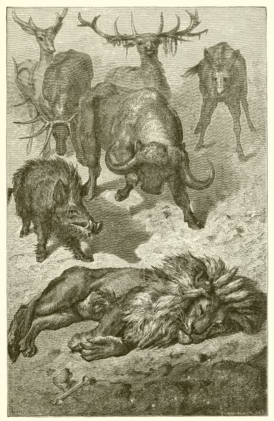 Den gamle Løve af Ernest Henry Griset