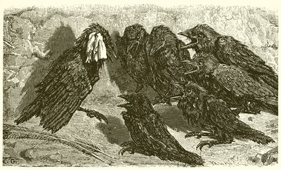Den forfængelige Jackdaw af Ernest Henry Griset