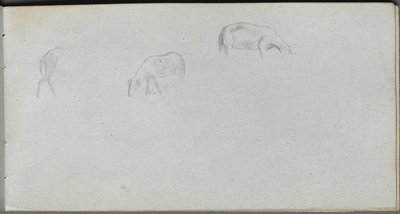 Skitsebog, side 20: Dyrestudie af Ernest Meissonier