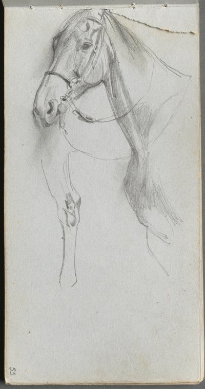 Skitsebog, side 55: Study for a Horse af Ernest Meissonier