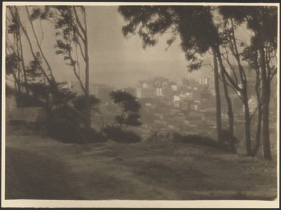 Byen fra bakketoppen af Ernest Mitchell Pratt