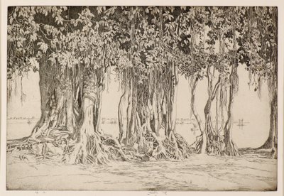 Banyan træet af Ernest Stephen Lumsden