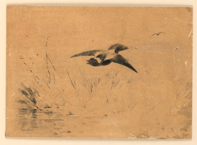 Bobolink af Ernest Thompson Seton
