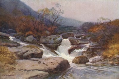A Dartmoor Stream (farve litho) af Ernest William Haslehust