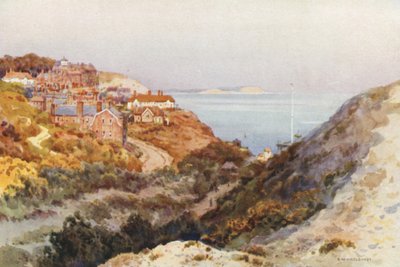 Boscombe Chine (farve litho) af Ernest William Haslehust