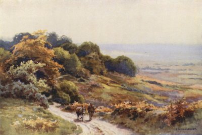 Burley Moor (farve litho) af Ernest William Haslehust