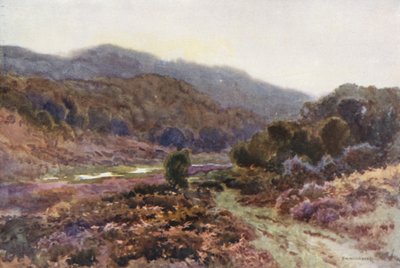 Af Broomy Water (farve litho) af Ernest William Haslehust