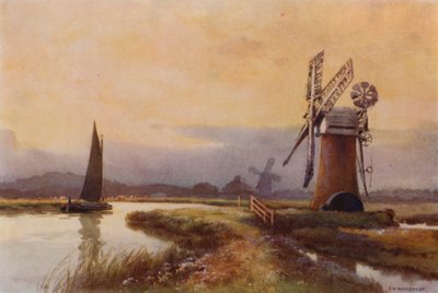 Drænmøller på myren (farve litho) af Ernest William Haslehust