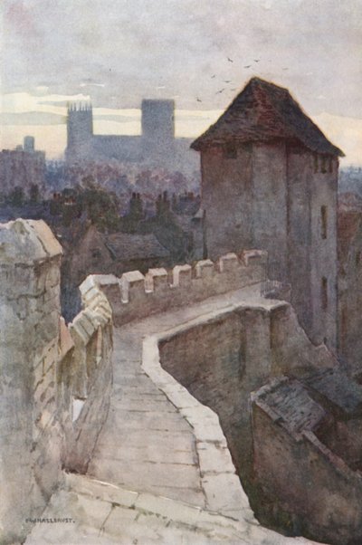 Fishergate plakat fra væggene (farve litho) af Ernest William Haslehust