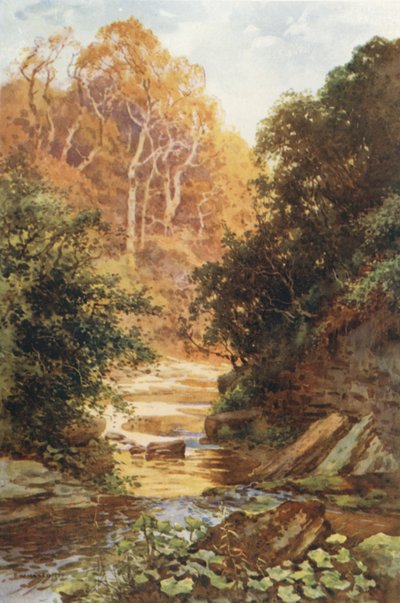 Hayburn Wyke (farve litho) af Ernest William Haslehust