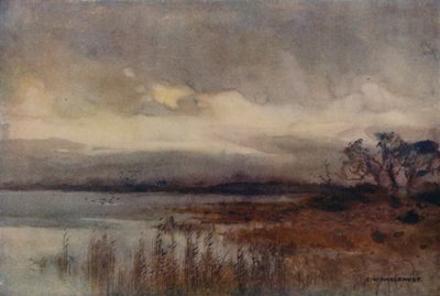 Hickling Broad (farve litho) af Ernest William Haslehust