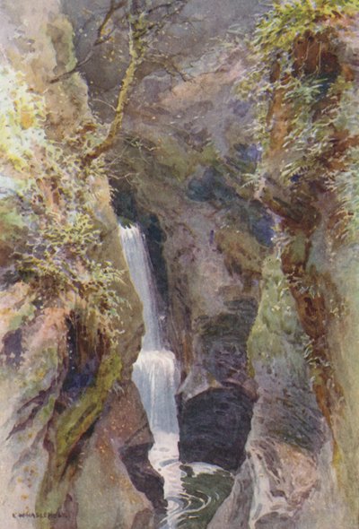 Lydford Gorge (farvemedlemmer) af Ernest William Haslehust