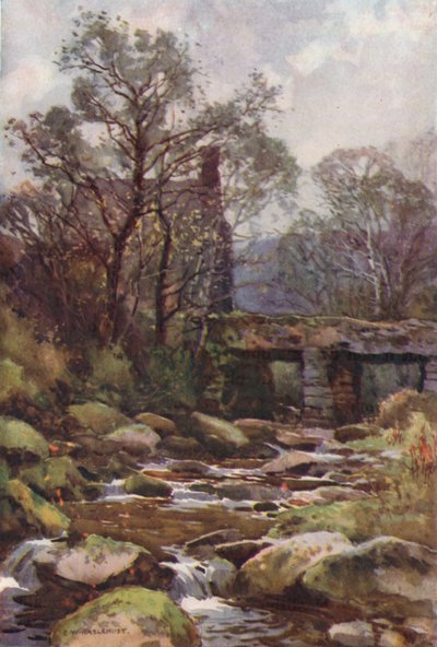 Ockery Bridge, nær Princetown (farve litho) af Ernest William Haslehust