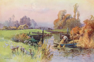Themsen: Backwater to the Wey (farvelitografi) af Ernest William Haslehust