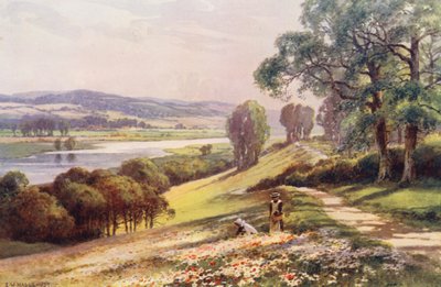 Themsen: Bourne End fra Quarry Hill (farvelitografi) af Ernest William Haslehust