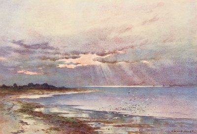 Themsen: Looking Southward to the Nore (farvelitografi) af Ernest William Haslehust