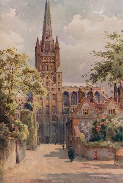 The Cathedral Precincts, Norwich (farve litho) af Ernest William Haslehust