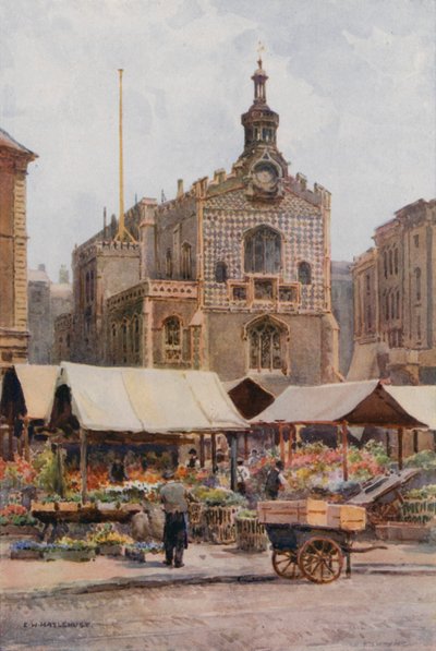 The Market-Place og Guildhall, Norwich (farve litho) af Ernest William Haslehust